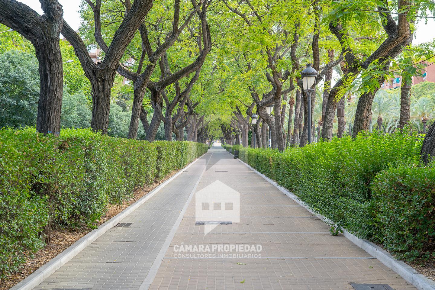 Magnífica vivienda en pleno corazón de la Avenida Andalucía